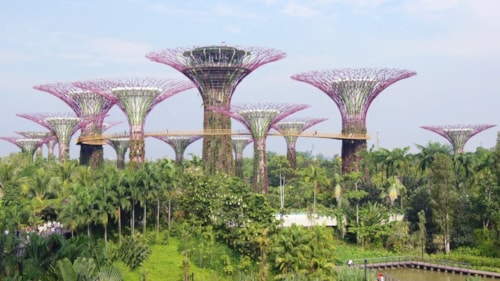 Gardens by the Bay (Ogrody nad Zatoką)