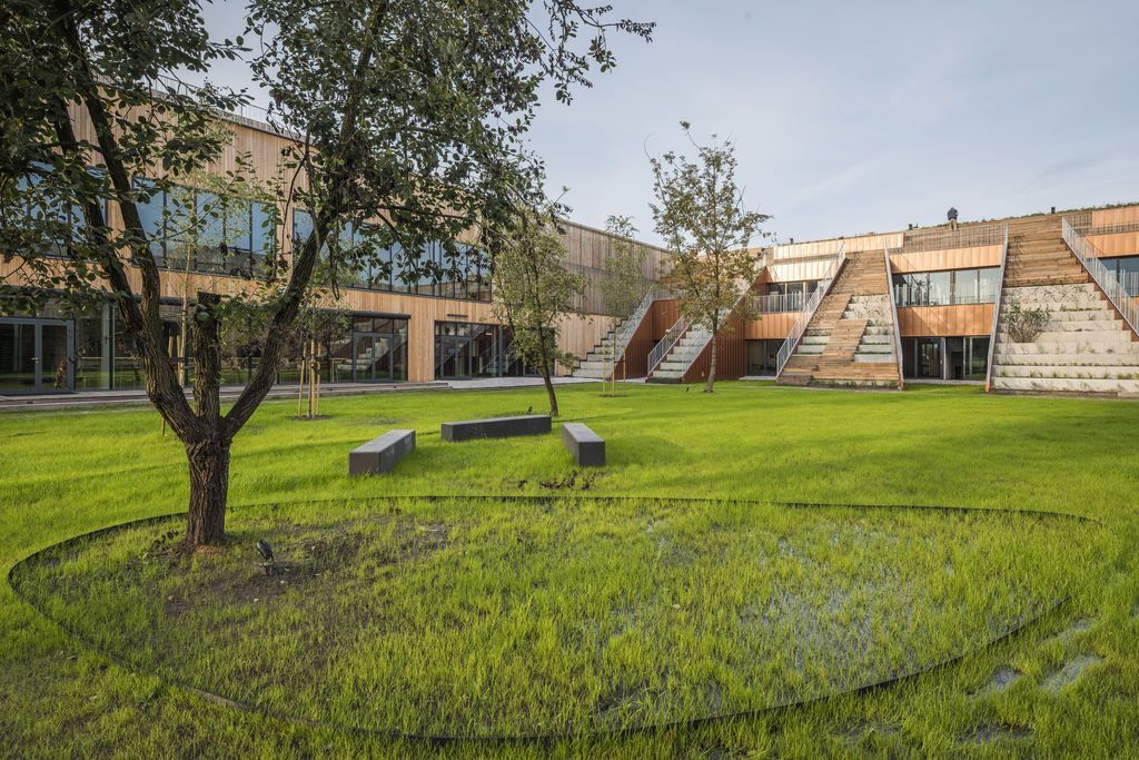 Charakterystycznym elementem Akademii High School są zielone tarasy schodzące od eko-dachu, aż do wewnętrznego patio