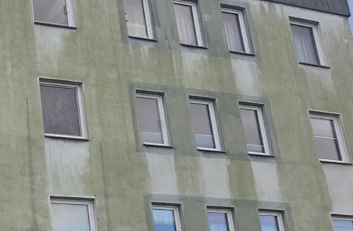Zdjęcie z artykułu Diagnostyka przyczyn porażenia biologicznego ETICS