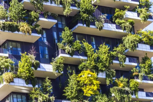 Zdjęcie z artykułu Biophilic design, czyli jak projektować z wykorzystaniem i poszanowaniem przyrody