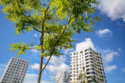 Zdjęcie z artykułu Rząd zwiększa wsparcie dla budownictwa społecznego. Dodatkowe miliony złotych w programie BSK